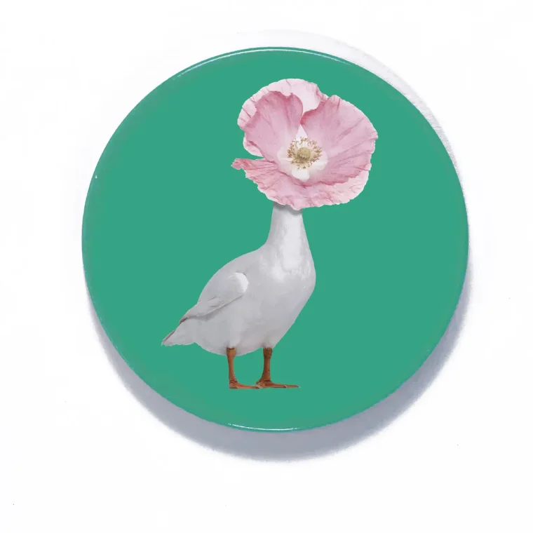 Diva st med 4 coastere