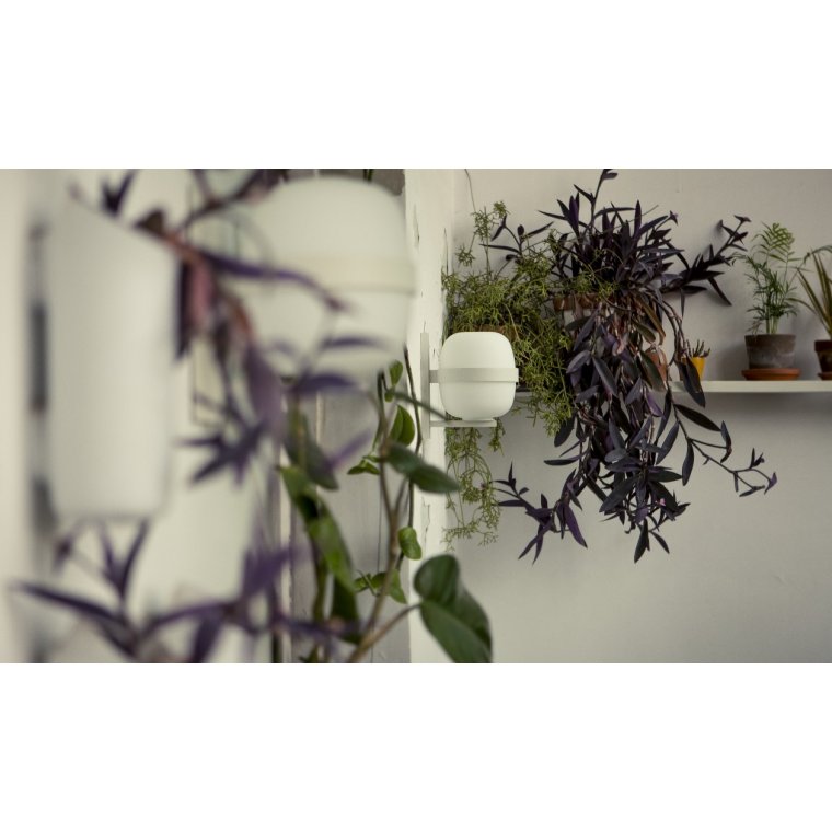 Wally V�glampe - Mat Hvid 